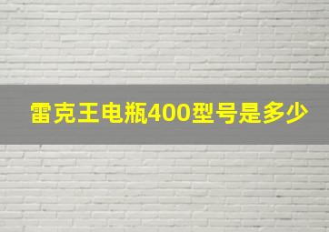 雷克王电瓶400型号是多少