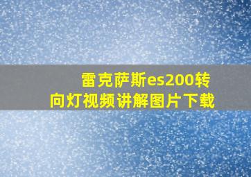 雷克萨斯es200转向灯视频讲解图片下载