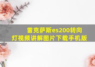 雷克萨斯es200转向灯视频讲解图片下载手机版