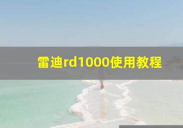 雷迪rd1000使用教程