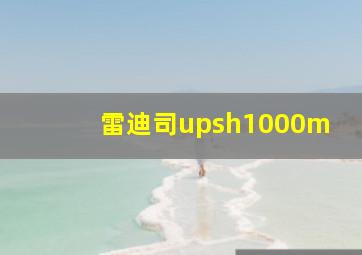 雷迪司upsh1000m