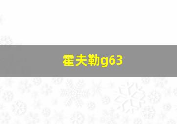 霍夫勒g63