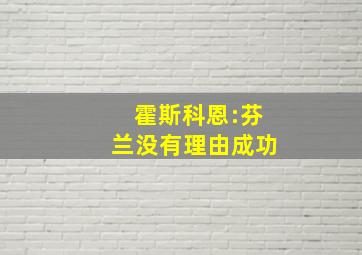 霍斯科恩:芬兰没有理由成功