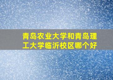 青岛农业大学和青岛理工大学临沂校区哪个好