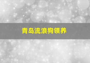 青岛流浪狗领养