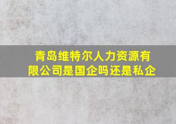 青岛维特尔人力资源有限公司是国企吗还是私企