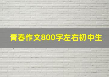 青春作文800字左右初中生