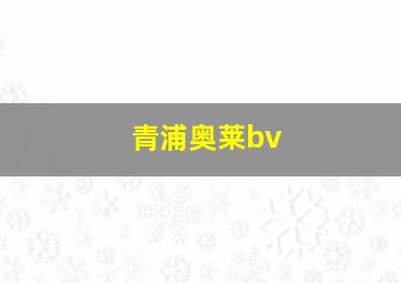 青浦奥莱bv