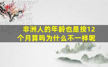 非洲人的年龄也是按12个月算吗为什么不一样呢