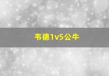 韦德1v5公牛