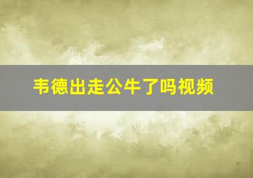 韦德出走公牛了吗视频