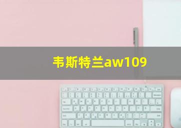 韦斯特兰aw109