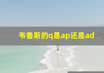 韦鲁斯的q是ap还是ad