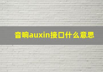 音响auxin接口什么意思