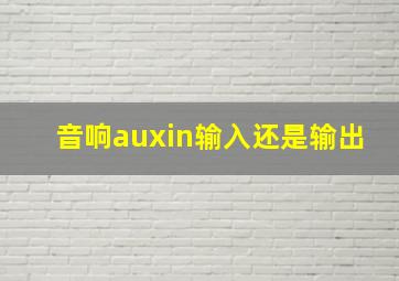 音响auxin输入还是输出