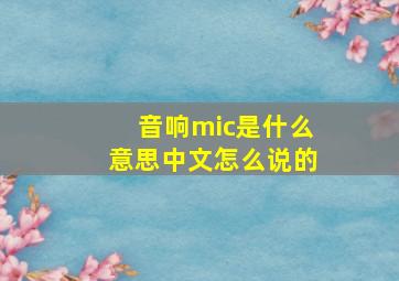 音响mic是什么意思中文怎么说的