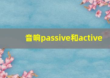 音响passive和active