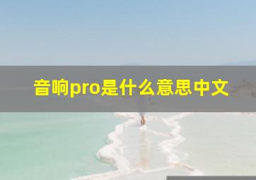 音响pro是什么意思中文