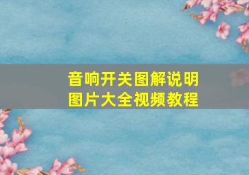 音响开关图解说明图片大全视频教程