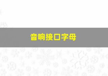 音响接口字母