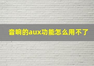 音响的aux功能怎么用不了