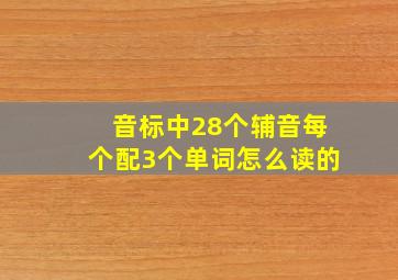 音标中28个辅音每个配3个单词怎么读的