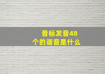 音标发音48个的谐音是什么