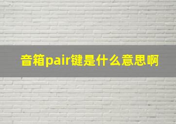 音箱pair键是什么意思啊