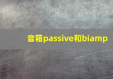 音箱passive和biamp