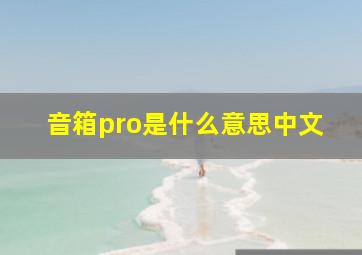 音箱pro是什么意思中文