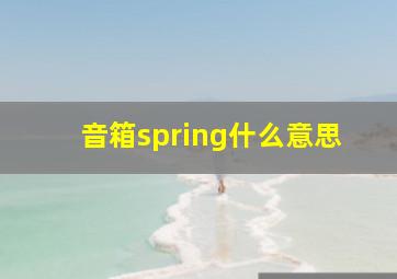 音箱spring什么意思