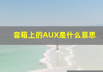 音箱上的AUX是什么意思