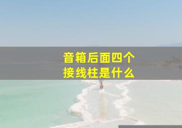 音箱后面四个接线柱是什么