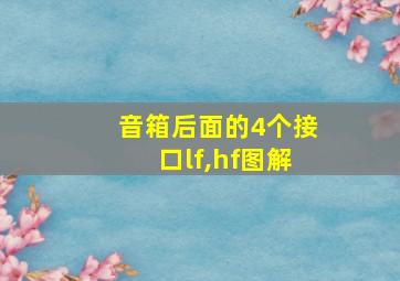 音箱后面的4个接口lf,hf图解