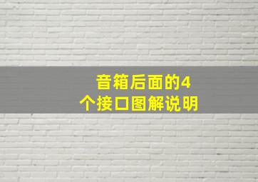 音箱后面的4个接口图解说明