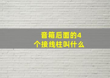 音箱后面的4个接线柱叫什么