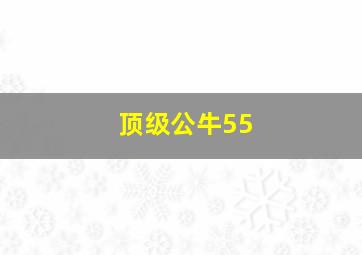 顶级公牛55