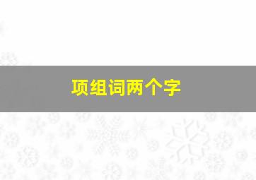 项组词两个字