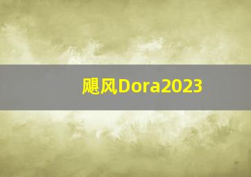 飓风Dora2023