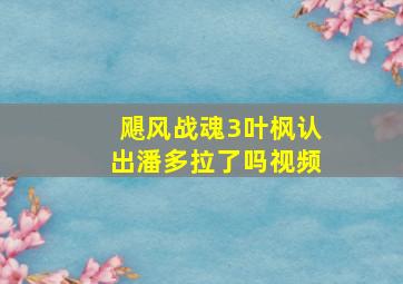 飓风战魂3叶枫认出潘多拉了吗视频