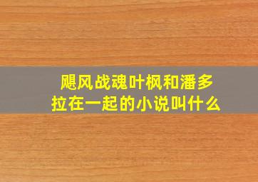 飓风战魂叶枫和潘多拉在一起的小说叫什么