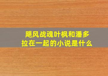 飓风战魂叶枫和潘多拉在一起的小说是什么