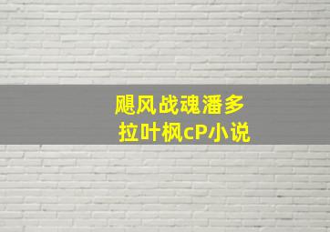 飓风战魂潘多拉叶枫cP小说