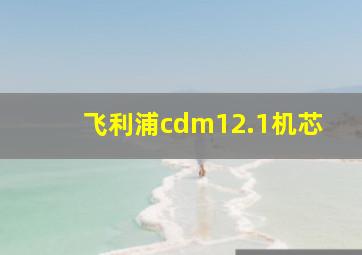 飞利浦cdm12.1机芯