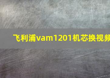 飞利浦vam1201机芯换视频