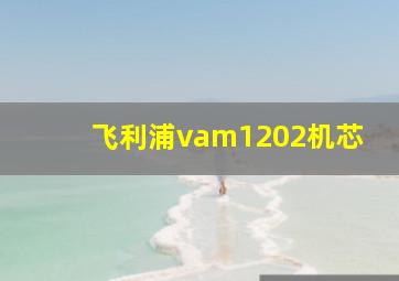 飞利浦vam1202机芯