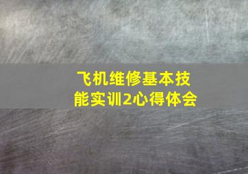 飞机维修基本技能实训2心得体会