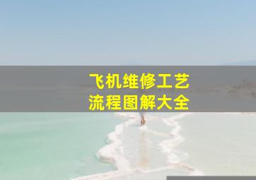 飞机维修工艺流程图解大全