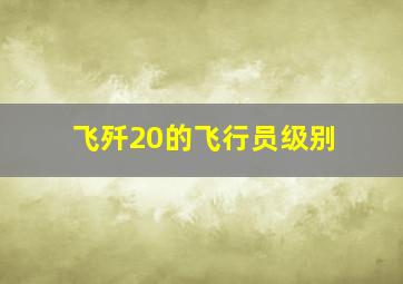 飞歼20的飞行员级别