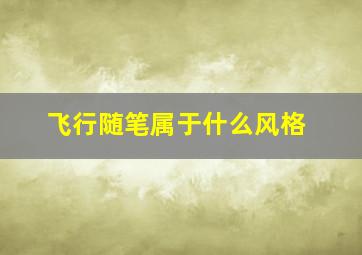 飞行随笔属于什么风格